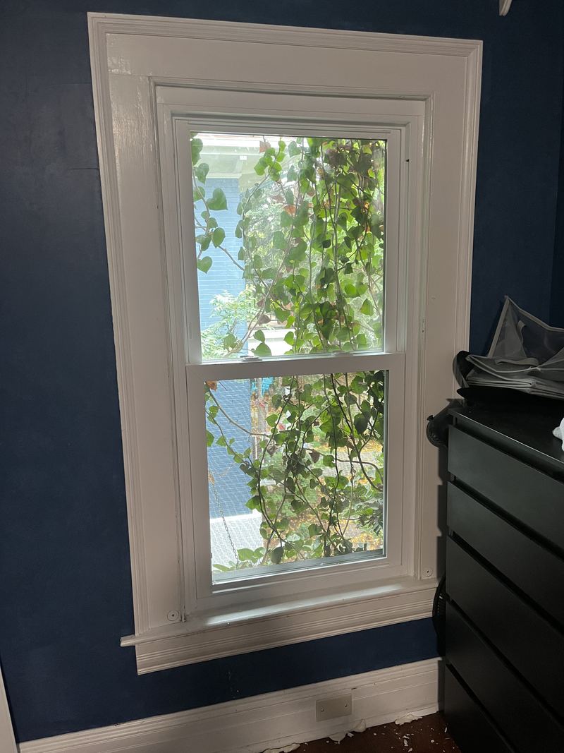 White-trim window in a finished room