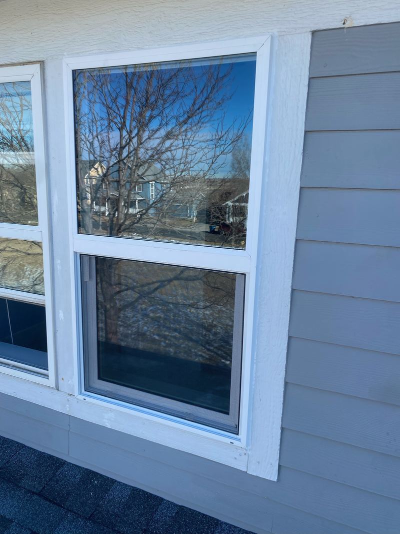 White-frame window reflecting the neighborhood, lake view